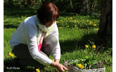 Ruth Ross, Wildkräuter- und Heilpflanzenpädagogin rund um Eslohe