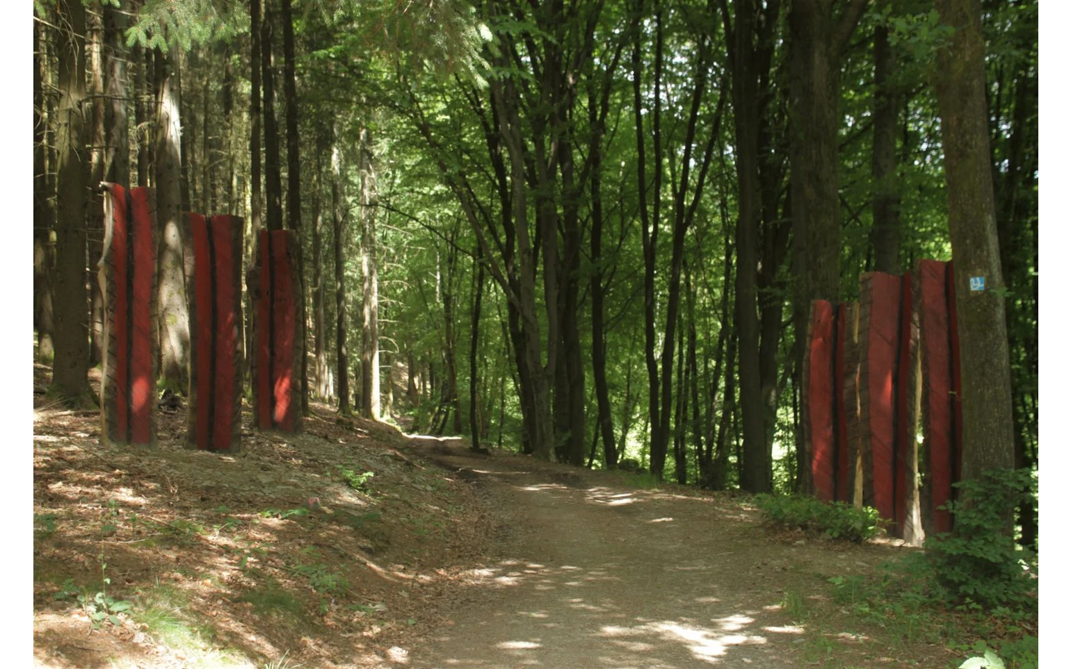 KulTour Foto Bettina Görlitzer (26).jpg