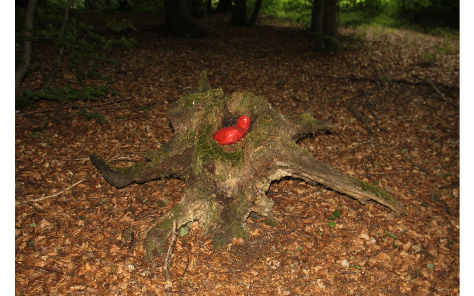 KulTour Foto Bettina Görlitzer (23).jpg