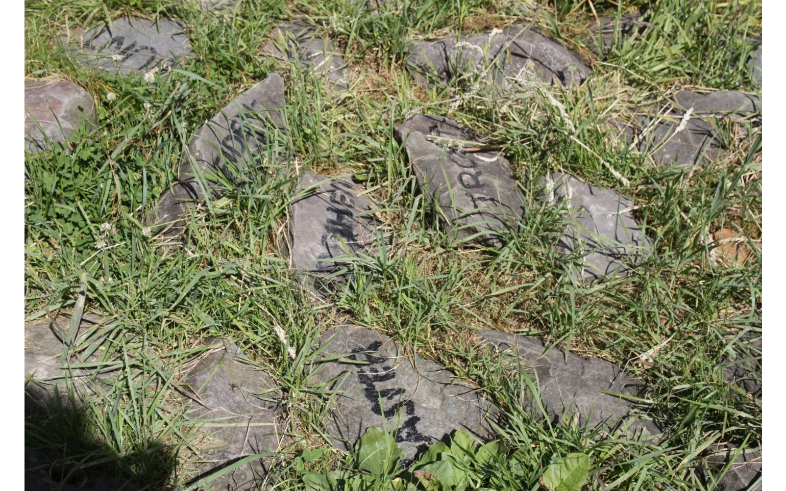 KulTour Foto Bettina Görlitzer (4).jpg