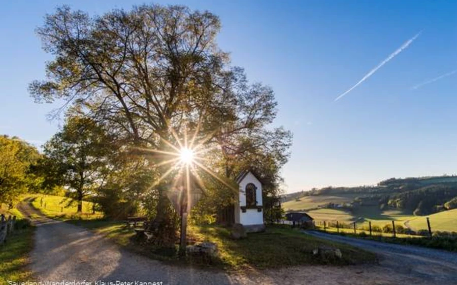 Lausebuche Lennestadt, sauerland-Wanderdörfer, KP Kappest_klein.jpg
