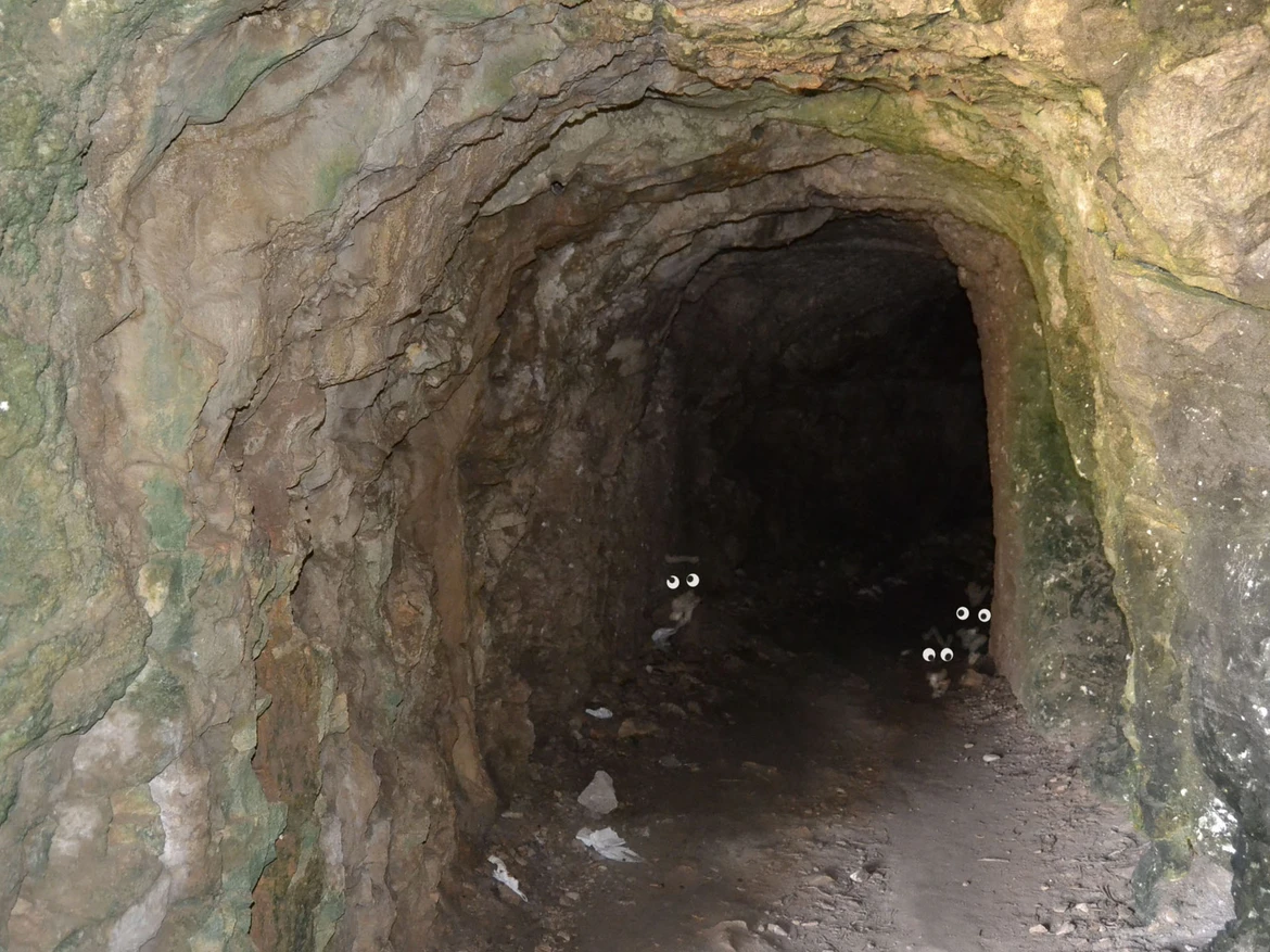 Höhle_Foto Susanne Thomas.jpg