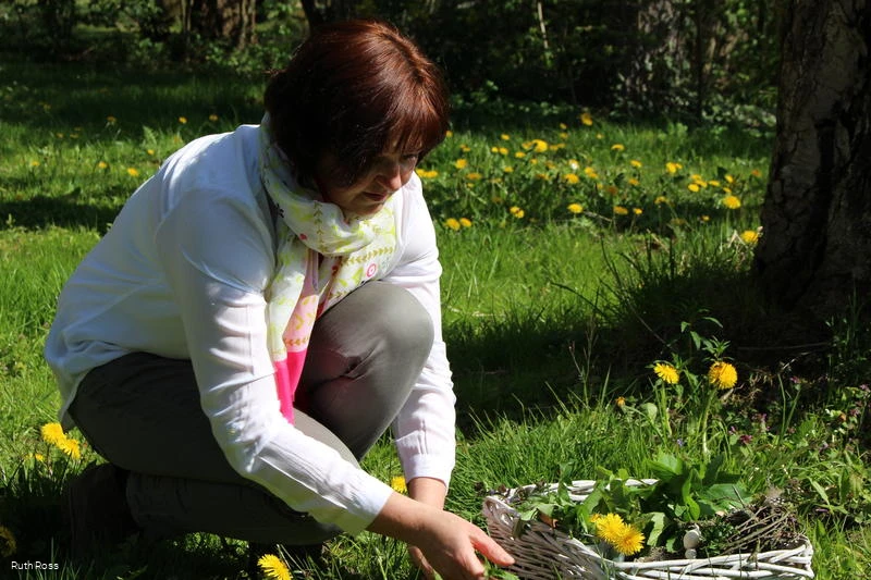 Ruth Ross, Wildkr&auml;uter- und Heilpflanzenp&auml;dagogin rund um Eslohe