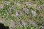 KulTour Foto Bettina Görlitzer (4).jpg